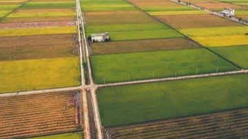 Terreni agricoli e data center: i requisiti che ne fanno il nuovo oggetto del desiderio